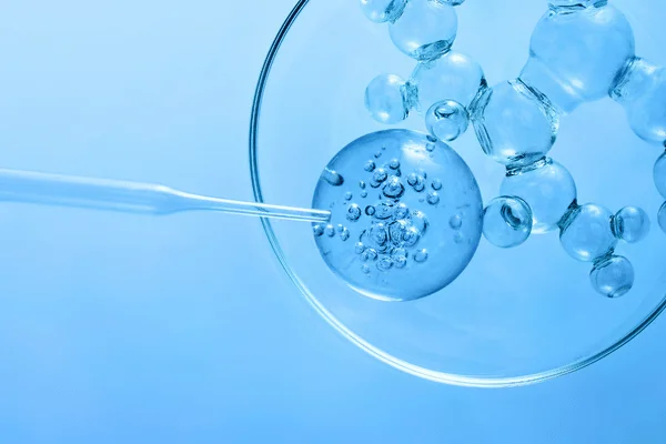 Pioneering the Future of Regenerative Medicine Together